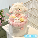 鉑吶苓生日禮物玩偶花束抱抱桶高級感公仔求訂婚送男女小朋友閨蜜老師 小羊玩偶抱抱桶【送禮袋+燈串】