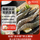 1號會(huì )員店精選鹽田有機白蝦 海鮮食材鹽田養殖 無(wú)添加健康單凍干凈 凈重1kg