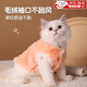 OIMG貓咪衣服防掉毛冬季保暖馬甲布偶德文無(wú)毛貓幼貓銀漸層秋冬季外套 小貓棉衣【橘色 M碼】
