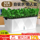 德沃多種菜盆長(cháng)方形種植箱塑料加厚自動(dòng)吸水花盆種菜箱蔬菜種植盆大號