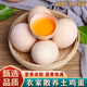 南步農家散養土雞蛋【現撿速發(fā)】新鮮雞蛋笨雞蛋草雞蛋正宗柴雞蛋初生 10枚裝 【單枚40-45g】約400g 試吃
