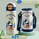 迪士尼（Disney）兒童保溫杯3-6-12歲上學(xué)專(zhuān)用316男女小孩學(xué)生雙飲直飲吸管保溫壺 升級雙飲款+杯套   520ml 米奇綠6649 316不銹鋼