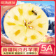 優(yōu)味集阿克蘇蘋(píng)果【京東直送】新疆冰糖心富士水果丑蘋(píng)新鮮時(shí)令送禮生鮮 4500g凈重裝（80%選擇-超劃算） 商超精選果