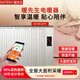 暖先生壁掛智能物聯(lián)電暖氣片取暖節能插電智能恒溫電暖器全屋速熱 銀色 APP操控 HOTZB-15TY