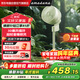 amadana艾曼達空氣循環(huán)扇非靜音電風(fēng)扇家用落地扇立式電扇直流變頻風(fēng)扇渦輪對流遙控大風(fēng)量換氣扇 C6