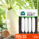 北蔬 白蘿卜種子苗大根大白蘿卜冬春季盆栽蔬菜籽 白玉蘿卜種子300粒