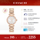 蔻馳（COACH）CARY系列 鋼帶石英女表14503838 羅一舟推薦 新年禮物/送禮