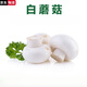 蔬出派新鮮白蘑菇口菇食用菌類(lèi) 私房菜煲湯炒菜搭配菜 白蘑菇 250g