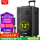 山水（SANSUI） A08A12A15戶(hù)外移動(dòng)拉桿專(zhuān)業(yè)無(wú)線(xiàn)K歌唱歌演出表演拓展廣場(chǎng)舞音響藍牙音箱便攜低音炮會(huì )議培訓音箱 E12豪華版（12吋重低音+話(huà)筒）