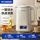 HYUNDAI【韓國】電熱水壺家用燒水壺自動(dòng)斷電一體熱水壺304不銹鋼大容量熱水壺電水壺 1.7L 旗艦款-304不銹鋼+防干燒+防燙設計