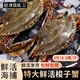 百庫【鮮活發(fā)貨】梭子蟹鮮活特大野生青島螃蟹海蟹春節年貨海鮮禮盒 超大高品質(zhì)梭子蟹3斤【共6-9只】
