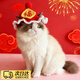 TMJD MISS寵物新年帽子狗狗財神帽手工編織貓咪過(guò)年配飾可愛(ài)變裝帽醒獅元寶 福字新年帽