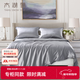 太湖雪全真絲夏涼被桑蠶長(cháng)絲空調被大尺寸被套可拆洗絲韻【專(zhuān)柜同款】 考拉灰 200*230cm