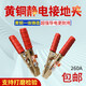 三棲虎全銅靜電接地夾子接接地線(xiàn) 線(xiàn)子化工廠(chǎng)油庫電子廠(chǎng)專(zhuān)用純銅搭火線(xiàn) 260A黃銅夾【紅色正極 1個(gè)】