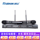 湖山（HUSHAN） 無(wú)線(xiàn)話(huà)筒 U段 無(wú)線(xiàn)麥克風(fēng)專(zhuān)業(yè)K歌 家庭KTV演唱會(huì )議主持專(zhuān)業(yè)話(huà)筒 DS-U310A (一拖二）