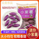 小東北小紫薯迷你小紫薯仔地瓜番薯速凍熟制油炸小吃早餐方便速食 小紫薯1袋（約40個(gè)）