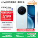 vivo X300 Pro 蔡司2億APO超級長(cháng)焦 藍圖自研影像雙芯 5年持久流暢OriginOS 6 直屏拍照手機 新品 國補 自在藍 16GB+512GB 官方標配