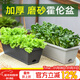 德沃多種菜盆陽(yáng)臺專(zhuān)用長(cháng)方形懶人室外塑料花盆養蔬菜盆栽植物家用大號