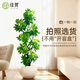 佳賀（JIAHE）鴨腳木綠植客廳大盆栽落地辦公室盆栽室內喬遷花卉盆栽 【1.3-1.5m】6-8頭造型鴨腳木-高檔陶瓷盆 含盆（推薦）
