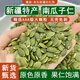 疆瀚新疆特產(chǎn)南瓜子仁500g阿勒泰原味無(wú)殼生南瓜籽大顆粒飽滿(mǎn)零食新貨