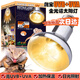 安九九爬寵全光譜太陽(yáng)燈UVA+UVB陸龜鬃獅補鈣燈日燈寵物加熱曬背燈100W 100W 全光譜太陽(yáng)燈