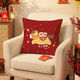 千贏(yíng)2026馬年抱枕沙發(fā)靠墊客廳紅色氛圍裝飾靠墊羽絲絨高級感床頭靠枕 馬上發(fā)財【雙面印圖·可拆洗】 45cm*45cm 含枕芯 【超柔荷蘭絨】