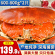 黃金面包蟹熟凍大螃蟹英國特超大鮮活海鮮水產(chǎn) 大號面包蟹600-800g/只*2