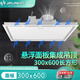 金羚集成吊頂300x600排氣扇換氣扇大功率排風(fēng)扇30x60天花換氣扇 至尊強力款換氣 300x600mm