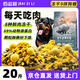 佰滋利犬糧20斤 成犬幼犬博美比熊泰迪小鹿犬通用型9拼凍干狗糧