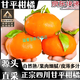 桃西村 甘平柑橘皇后現摘純甜【JD快遞-送貨上門(mén)】孕婦當季薄皮多汁柑橘 甘平柑橘 9斤稀缺果王（100mm+）JD快遞