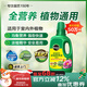 美樂(lè )棵植物通用營(yíng)養液磷酸二氫鉀花肥肥料綠蘿發(fā)財樹(shù)植物營(yíng)養液500ML