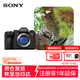 索尼（SONY）Alpha 1 II 新一代全畫(huà)幅微單?旗艦(ILCE-A1M2/α1 II/A1 二代)