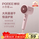 博銳（POREE）電吹風(fēng)家用柔風(fēng)1600W大功率冷熱大風(fēng)吹風(fēng)筒恒溫護發(fā)低噪快速干發(fā)送女友節日生日新年禮物 少女粉PH1630