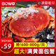 BOWO英國熟凍面包蟹 黃金蟹黃道蟹巨型螃蟹海鮮水產(chǎn)熱門(mén)商品 英國熟凍面包蟹600-800g/只*1只裝