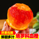 果果牛湖南塔羅科血橙 橙子新鮮水果手剝甜橙多汁冰糖高山臍 可選 凈重9斤(單果60-65mm)實(shí)惠