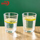 青蘋(píng)果無(wú)鉛玻璃水杯茶杯250ML6只裝 飲料杯牛奶杯果汁杯啤酒杯多功能