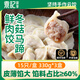 袁記味享云餃直銷(xiāo)水餃冰鮮手工大餡餃子速食早餐混合口味水餃 【3盒】冬菇馬蹄鮮肉餃330g*3