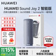 華為Sound Joy 2智能音箱第二代便攜式藍牙音響電腦桌面戶(hù)外音箱立體聲低音炮語(yǔ)音AI小藝超長(cháng)續航 Sound Joy2音箱-智能版-海島藍