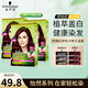 施華蔻（Schwarzkopf）怡然染發(fā)霜蓋白遮白染發(fā)膏劑流行色自己在家安全染發(fā)劑 3.88摩卡深紅棕【熱情紅棕色】