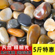 JCZS天然五彩鵝卵石鋪地造景雨花石原石鵝軟石批發(fā)庭院石子花園石頭 【5斤】精品五彩鵝卵石1-3CM