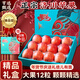 亨迅洛川蘋(píng)果水果陜西紅富士延安蘋(píng)果脆甜多汁整箱新鮮水果生鮮中秋節 貢品12粒大果高端禮盒 80-90mm 【核心產(chǎn)區丨精品好果】