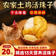 鄉公館五香毛蛋活珠子13天新鮮鳳凰蛋喜蛋胚胎蛋鋼化蛋即食新鮮營(yíng)養 五香味活珠子20枚【湯鮮味美】