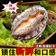 鮑魚(yú)鮮活新鮮冷凍南日鮑黑金鮑大個(gè)飽滿(mǎn)純肉去殼現刨當季捕撈自曬 鎖鮮現貨速發(fā) 鮑魚(yú)60g【大個(gè)嘗鮮】