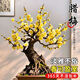 意軒濃香型四季梅花盆栽老樁臘梅紅梅盆景樹(shù)苗室內外花卉庭院耐旱植物 濃香臘梅20年精品老樁苗 帶盆