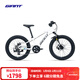 捷安特（GIANT）XTC 20-D鋁合金20寸7速機械碟剎變速青少年自行車(chē) 白月光 20×10 建議115-135cm