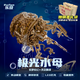 樂(lè )放八音盒天空之城榫卯積木高難度音樂(lè )盒木質(zhì)拼裝模型玩具生日禮物 【極光水母】榫卯積木 男生女生高級感生日禮物
