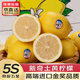 裕農叔【京東直送】新奇士檸檬新鮮進(jìn)口水果皮薄多汁黃檸檬茶飲品店專(zhuān)用 1斤 商超級大果（單果120g+）