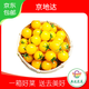 京地達山東輕食黃色圣女果小番茄凈重3斤單果5g+清甜爆汁源頭直發(fā)包郵