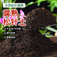 花大師純松針腐熟純天然腐殖土發(fā)酵墊材腐葉君子蘭專(zhuān)用土蘭花盆栽營(yíng)養土 深度腐熟 純松針10升 不含土 黑色發(fā)酵松針