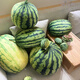 米樂(lè )秀仿真水果大西瓜抱枕毛絨玩具夏天玩偶公仔布娃娃兒童生日禮物女 大號圓西瓜35*35厘米